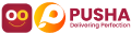 Footer Logo